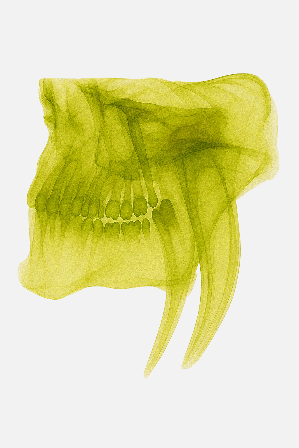 Raio-X Dental